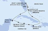 Port Canaveral,Ocean Cay,Ocho Rios,George Town,Cozumel,Port Canaveral